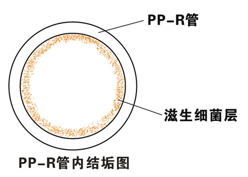 PP-R滲氧，易滋生細菌，有異味；腐蝕金屬連接件，降低使用壽命